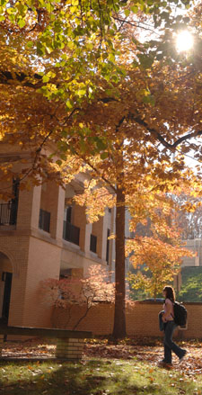 Fall foliage on the Kent State campus