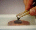 Demonstration of levitation by superconducting magnets
