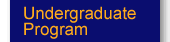Undergraduate Program